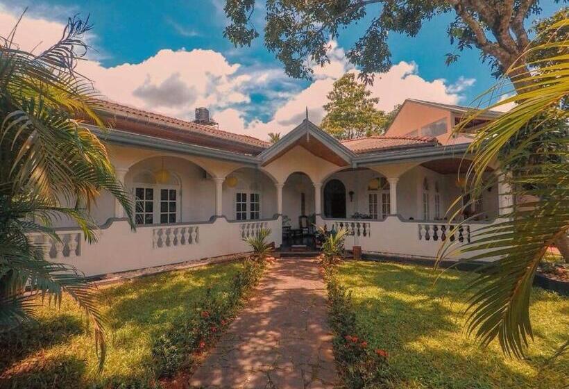 Cameră Superioară, The Mango