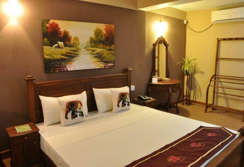 豪华房间, Tinaya