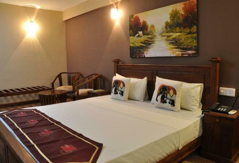 豪华房间, Tinaya