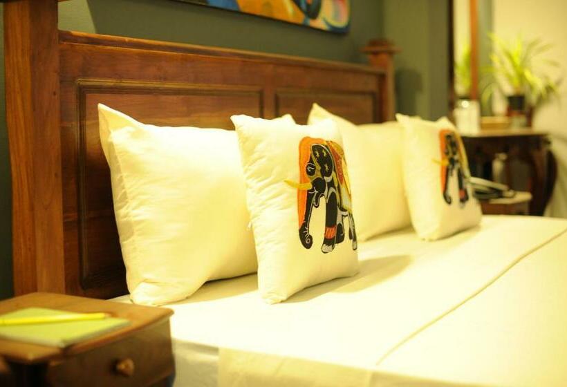 豪华房间, Tinaya