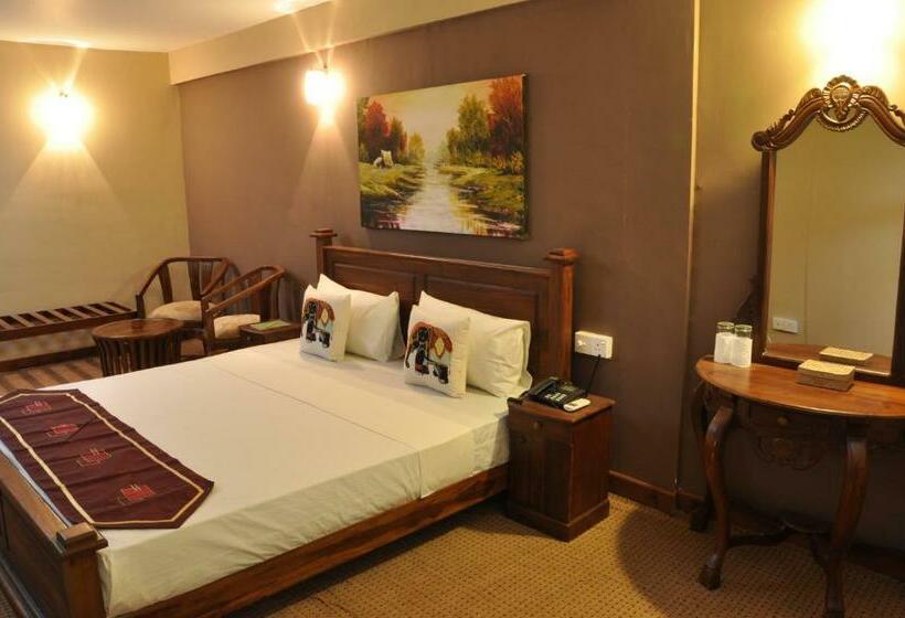 豪华房间, Tinaya