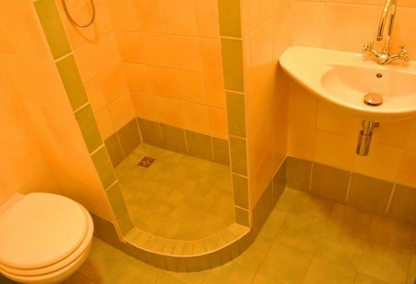 اتاق استاندارد یک نفره, U Budvaru