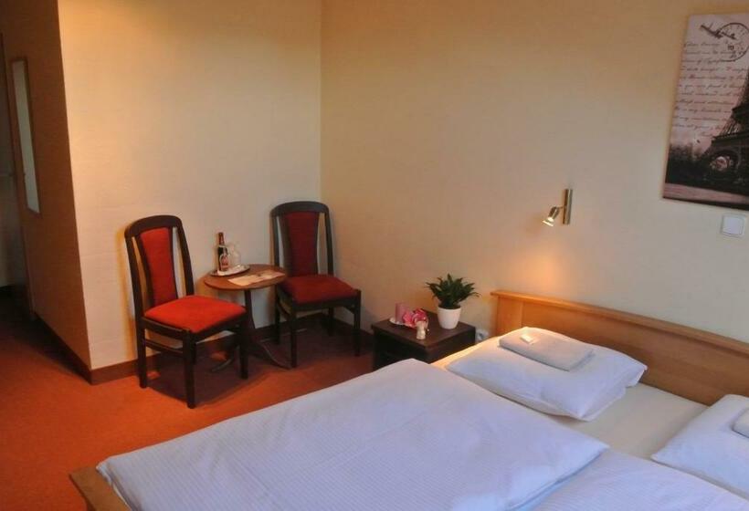 اتاق استاندارد, U Budvaru