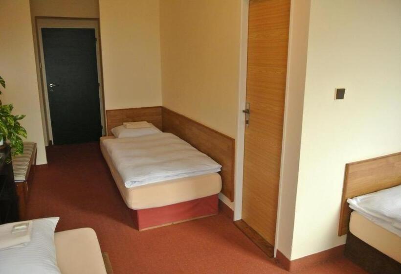 اتاق استاندارد سه نفره, U Budvaru