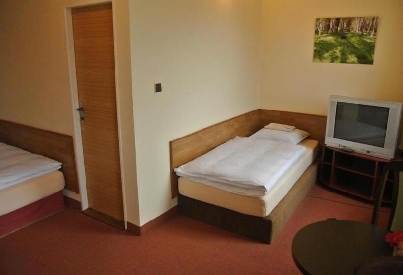 اتاق استاندارد سه نفره, U Budvaru