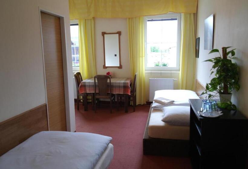 اتاق استاندارد سه نفره, U Budvaru