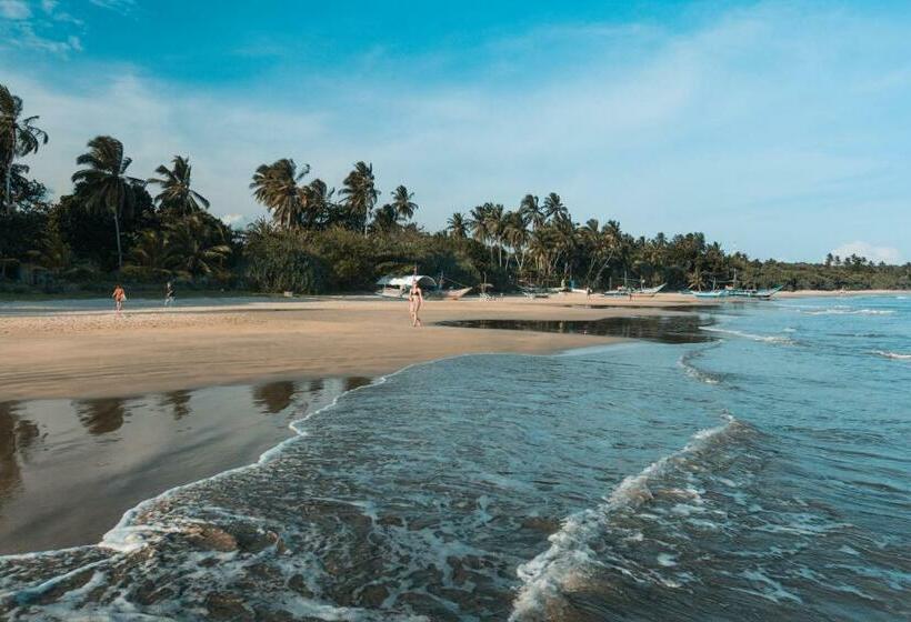 シャレー・スペリアー1寝室, Mawella Beach Resort