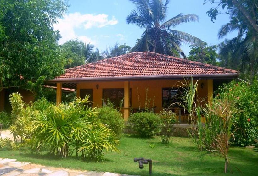 , Puetz Travels Beach Resort