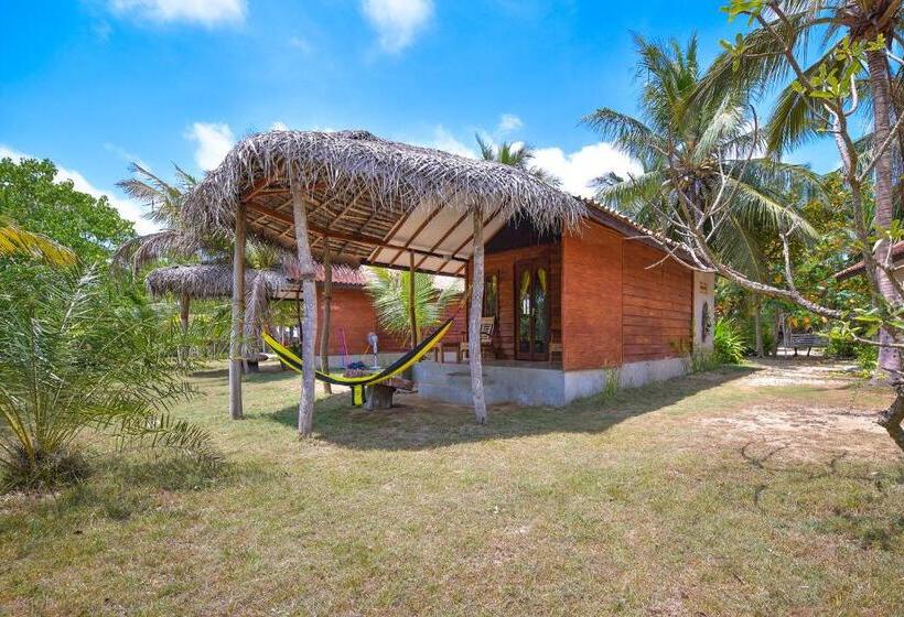 Бунгало Superior, Kitesurfing Lanka