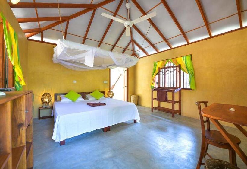 Бунгало Стандарт, Kitesurfing Lanka