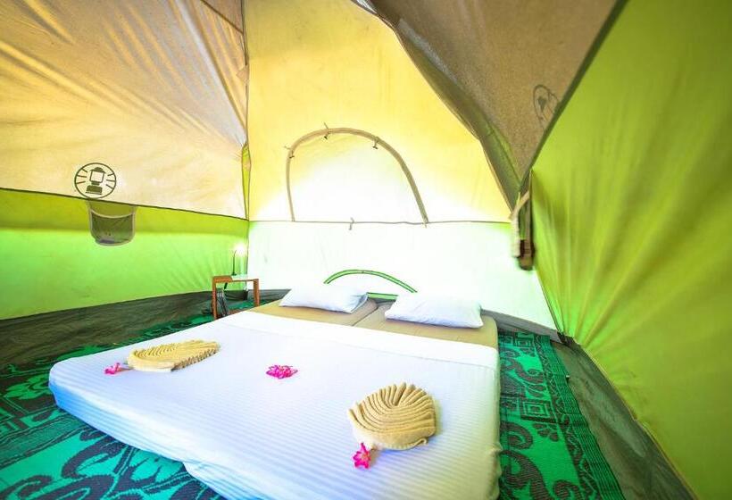 Standard Tent, Kitesurfing Lanka