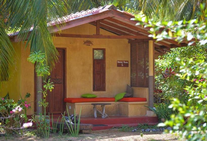 Бунгало Стандарт, Kitesurfing Lanka