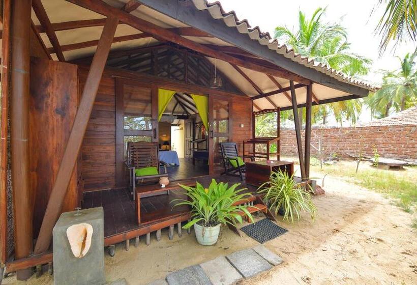 اتاق خانوادگی, Kitesurfing Lanka