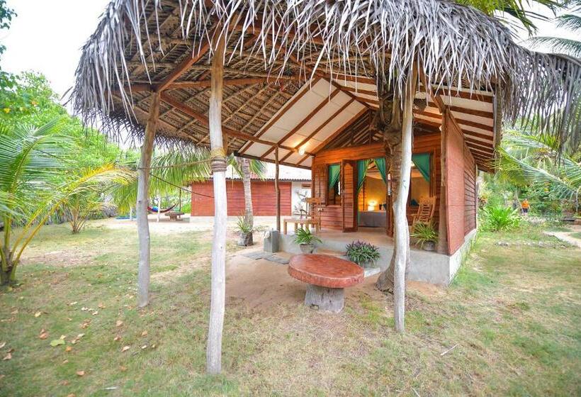 بانگلوی سوپریور, Kitesurfing Lanka