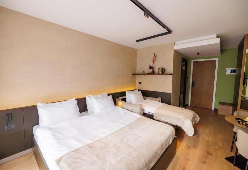 اتاق استاندارد سه تخته با بالکن, 1863 Boutique