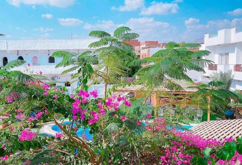 اتاق استاندارد با چشم‌انداز استخر, Club Red Dahab Motel