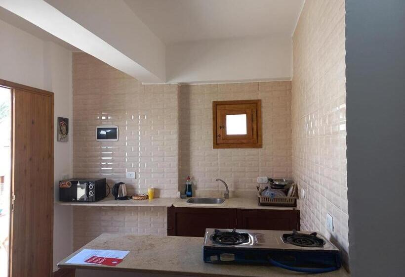 استودیوی لوکس, Club Red Dahab Motel