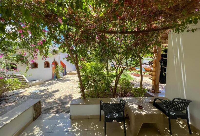 اتاق استاندارد با تراس, Club Red Dahab Motel