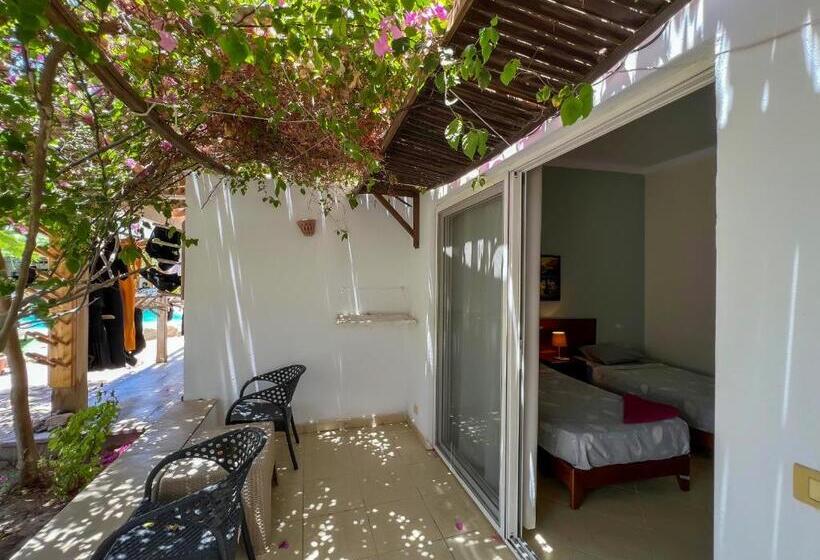 اتاق استاندارد با تراس, Club Red Dahab Motel