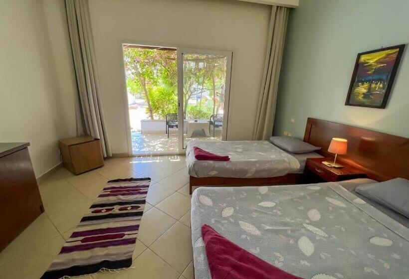 اتاق استاندارد با تراس, Club Red Dahab Motel