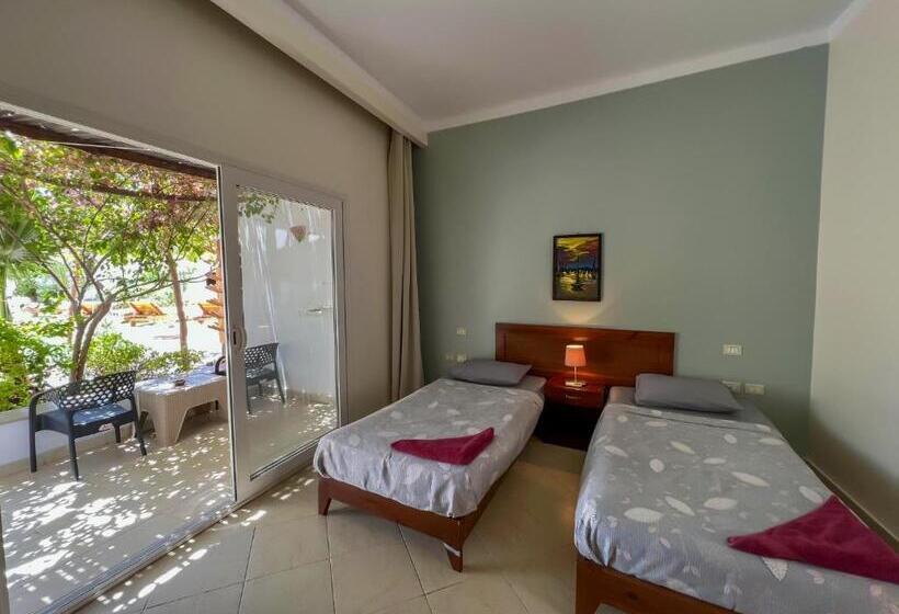 اتاق استاندارد با تراس, Club Red Dahab Motel