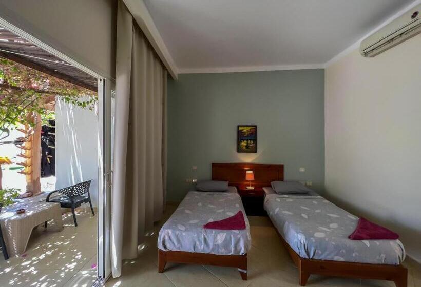 اتاق استاندارد با تراس, Club Red Dahab Motel