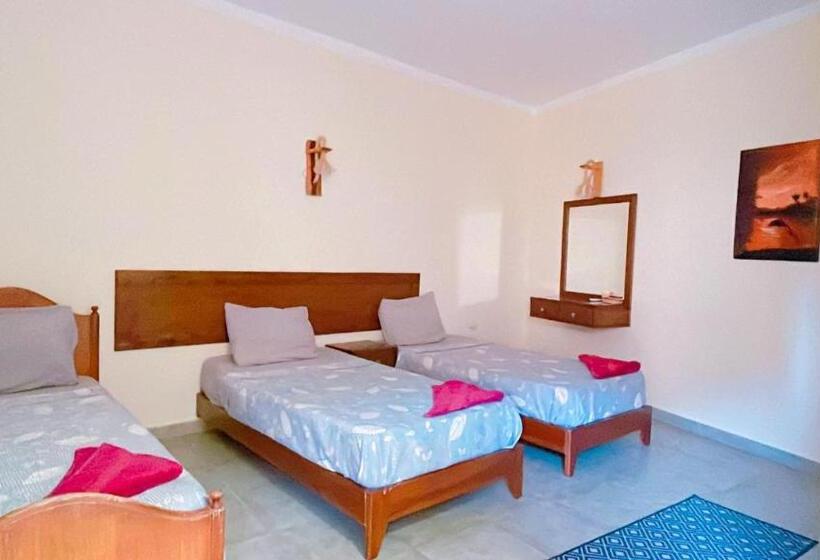 Standard Triple Room with Terrace, Club Red Dahab Motel