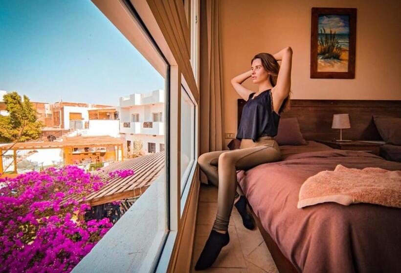 اتاق استاندارد با چشم‌انداز استخر, Club Red Dahab Motel
