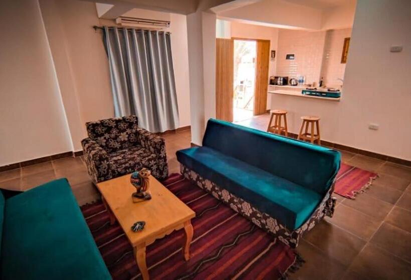 استودیوی لوکس, Club Red Dahab Motel