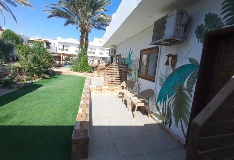 اتاق استاندارد با تراس, Club Red Dahab Motel