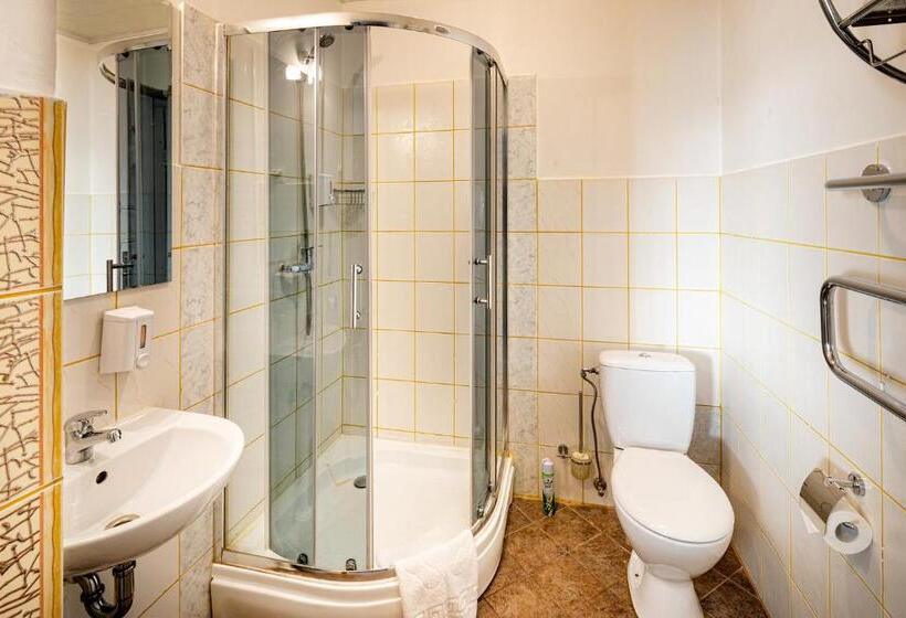 اتاق استاندارد سه نفره, Biplan