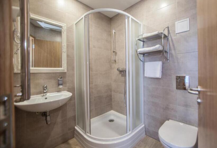 اتاق سوپریور, Biplan