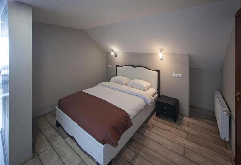 استودیو خانوادگی, Biplan