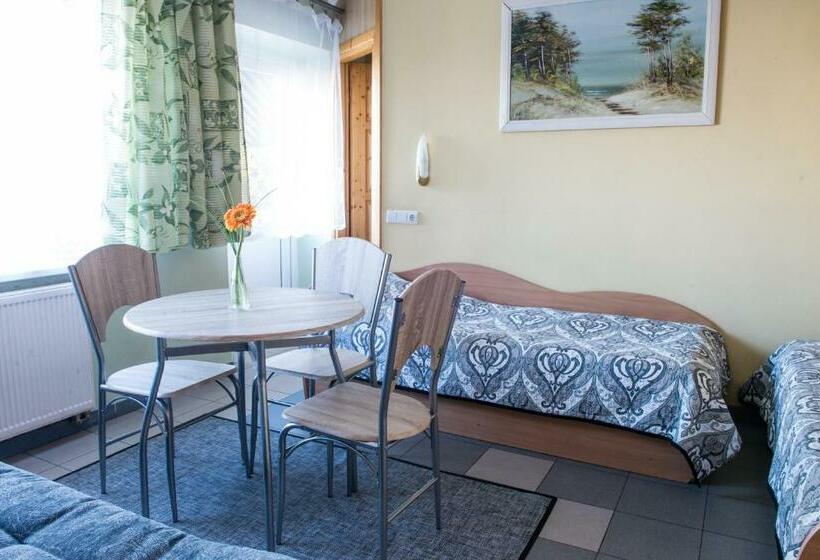 اتاق استاندارد یک نفره, Eiva