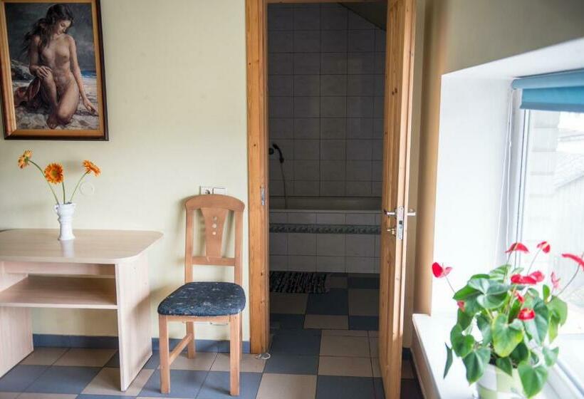 اتاق استاندارد یک نفره, Eiva