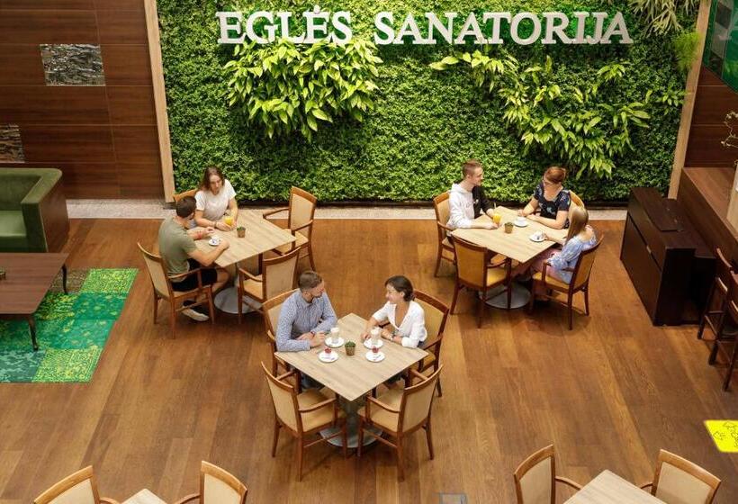 اتاق استاندارد یک نفره, Medical Spa Eglės Sanatorija Birštonas