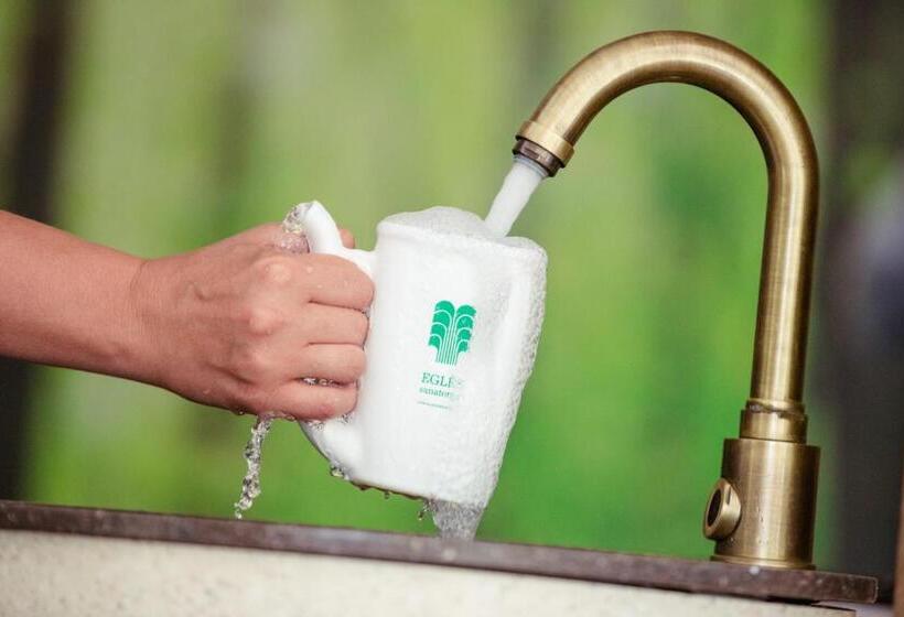 اتاق استاندارد, Medical Spa Eglės Sanatorija Birštonas