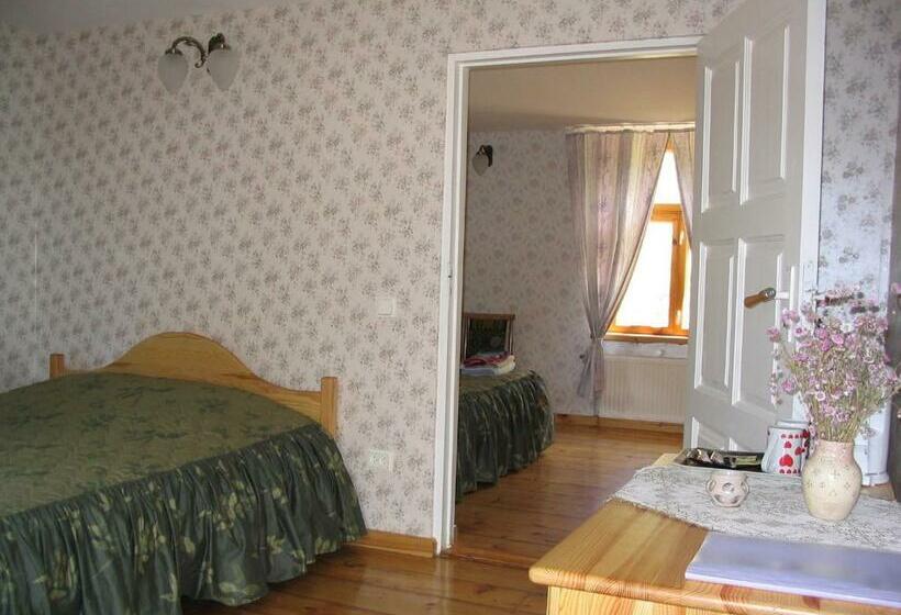 اتاق استاندارد, Saule