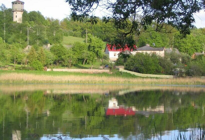 اتاق استاندارد, Saule