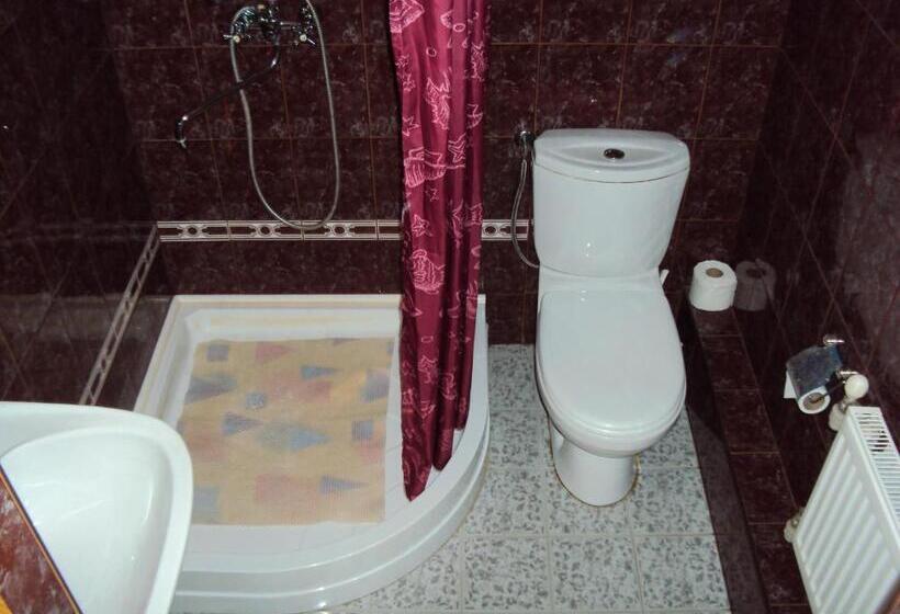 اتاق استاندارد, Saule