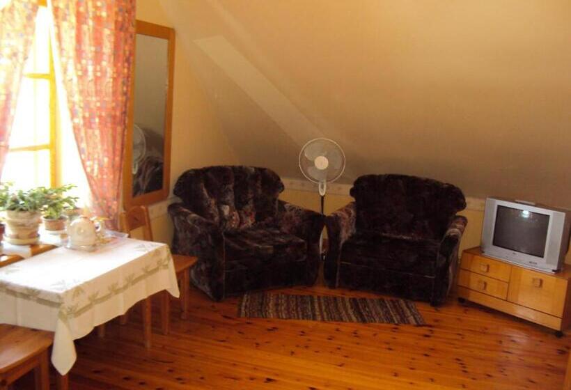 اتاق سوپریور, Saule