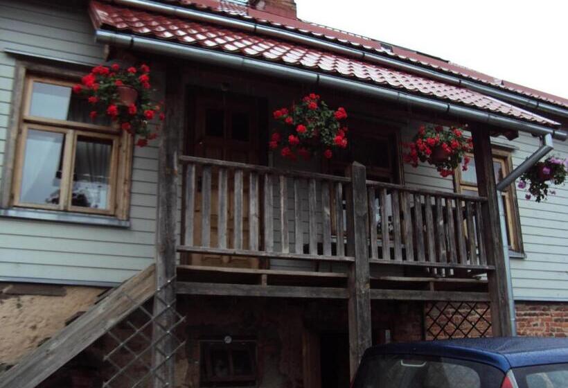 اتاق سوپریور, Saule