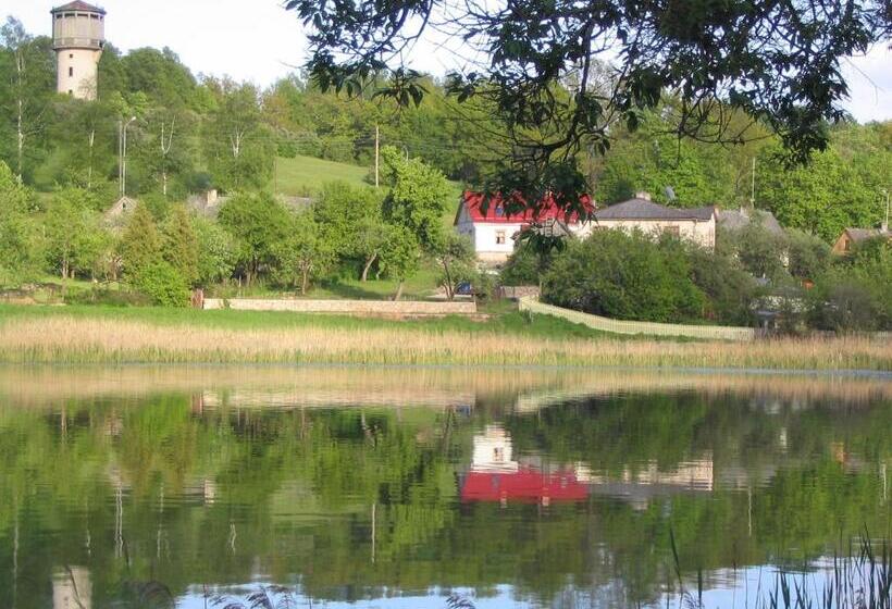 اتاق سوپریور, Saule