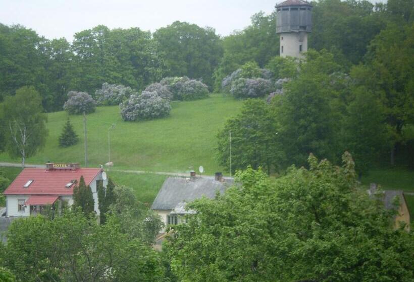 اتاق سوپریور, Saule