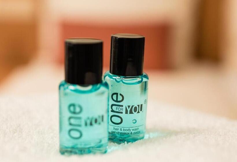 豪华工作室, Sleeping By Van Beelen