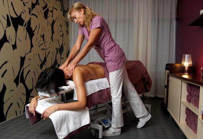 Quarto standard, Spa Tervise Paradiis