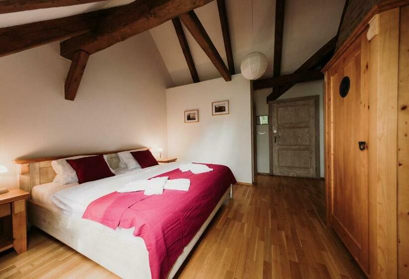 חדר סטנדרט, U Hrabenky