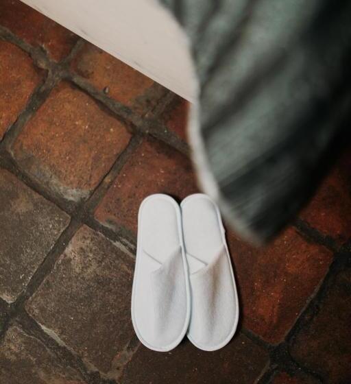 חדר סופריור, U Hrabenky