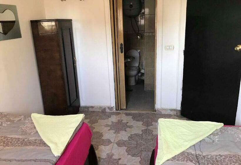 اتاق استاندارد, Wake Up! Cairo Hostel