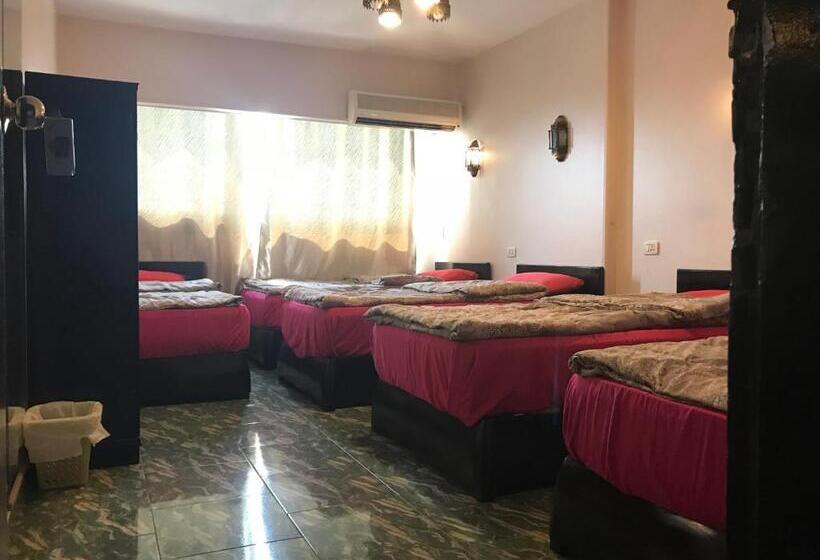 تختخواب در اتاق مشترک, Wake Up! Cairo Hostel